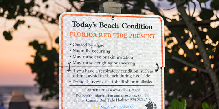 Boating During a Red Tide Bloom